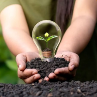 10 recomendaciones para el cuidado de plantas