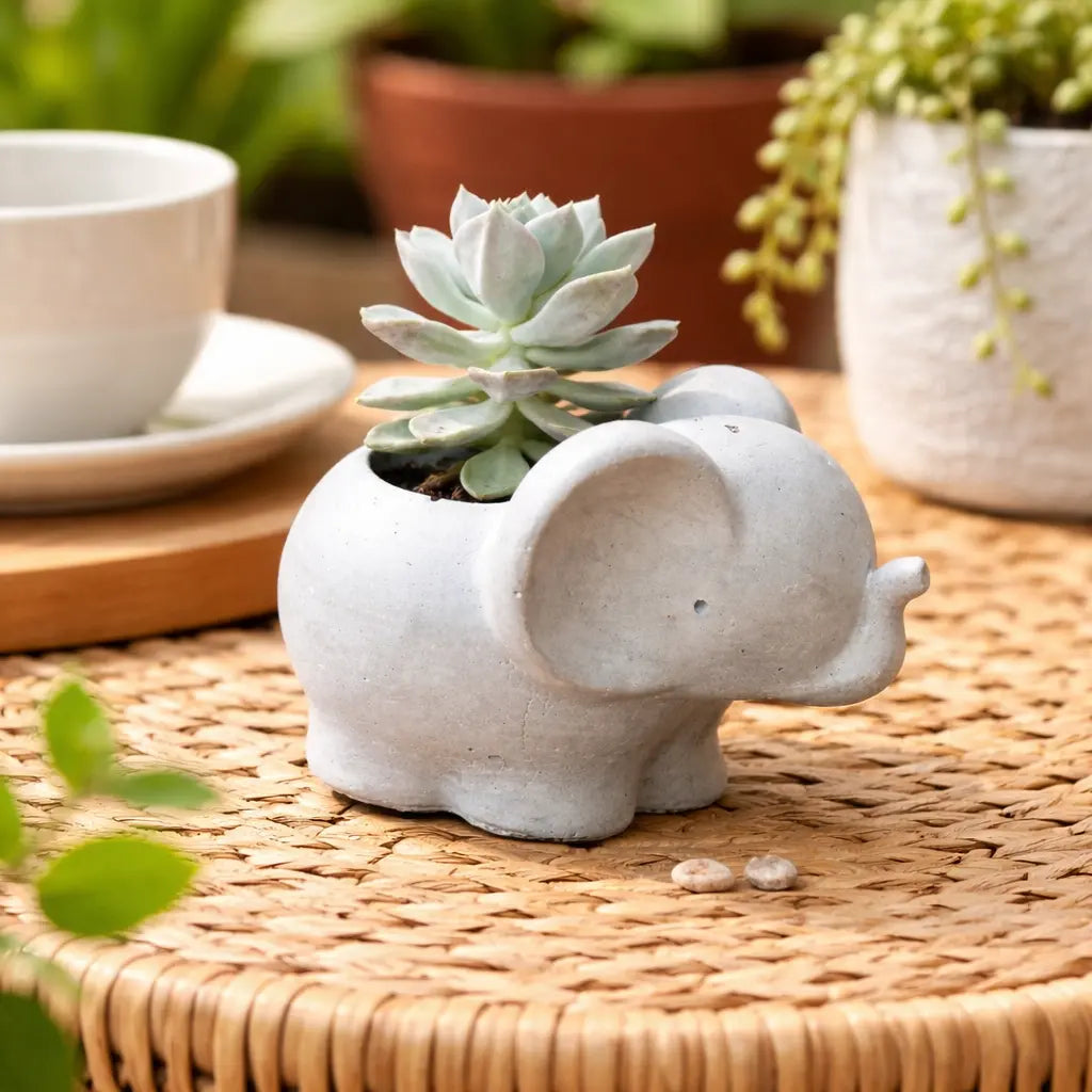 Elefantito con Suculenta Echeveria Elegans | Macetero de Hormigón con Drenaje | Regalo Original y Decoración con Vida
