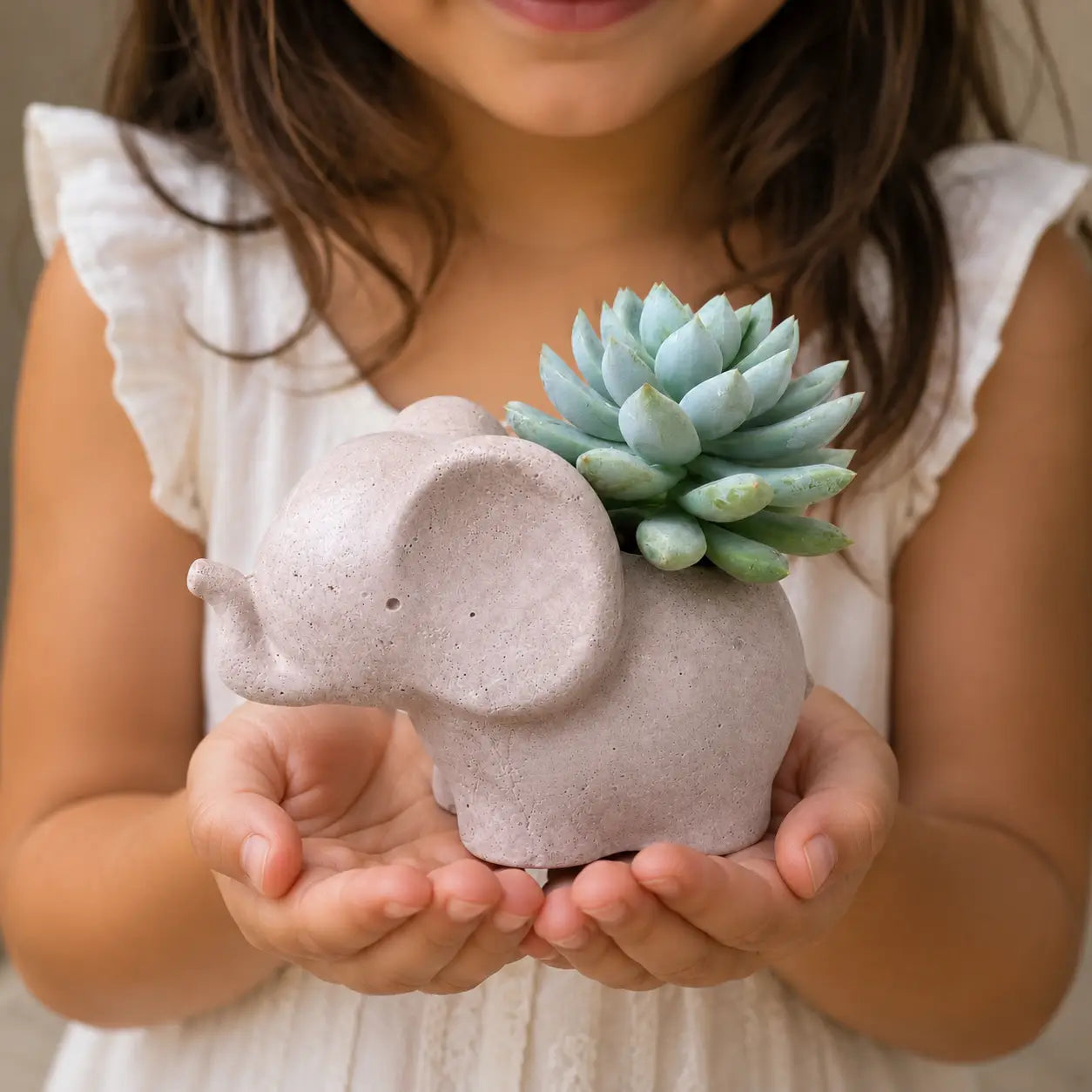 Macetero Elefantito con Suculenta Echeveria | Planta Natural + Maceta de Hormigón | Regalo Original y Decorativo