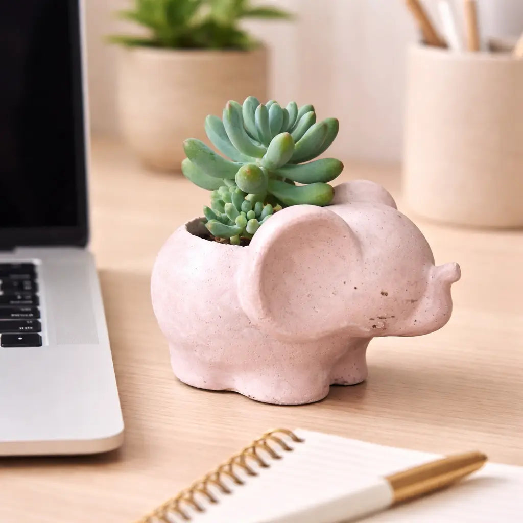 Elefantito de Hormigón con Sedum Pachyphyllum – Suculenta Dedos Gorditos | Regalo Original y Decorativo
