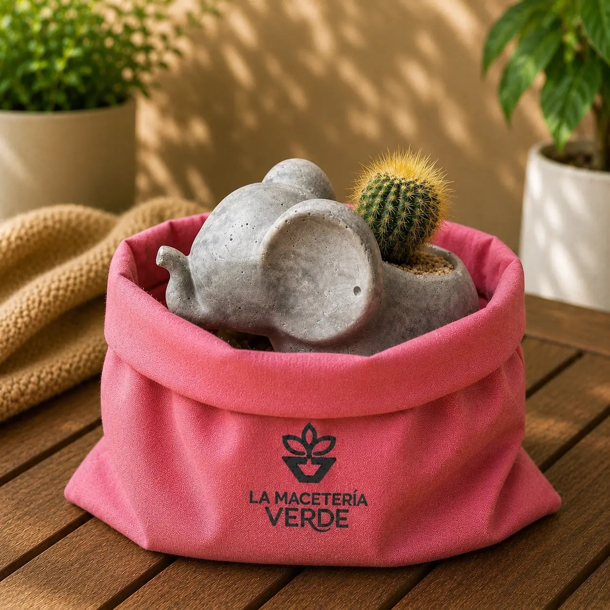 Macetero Elefantito con Cactus Dorado (Parodia leninghausii) | Planta Resistente + Maceta de Hormigón | Regalo Fácil Cuidado