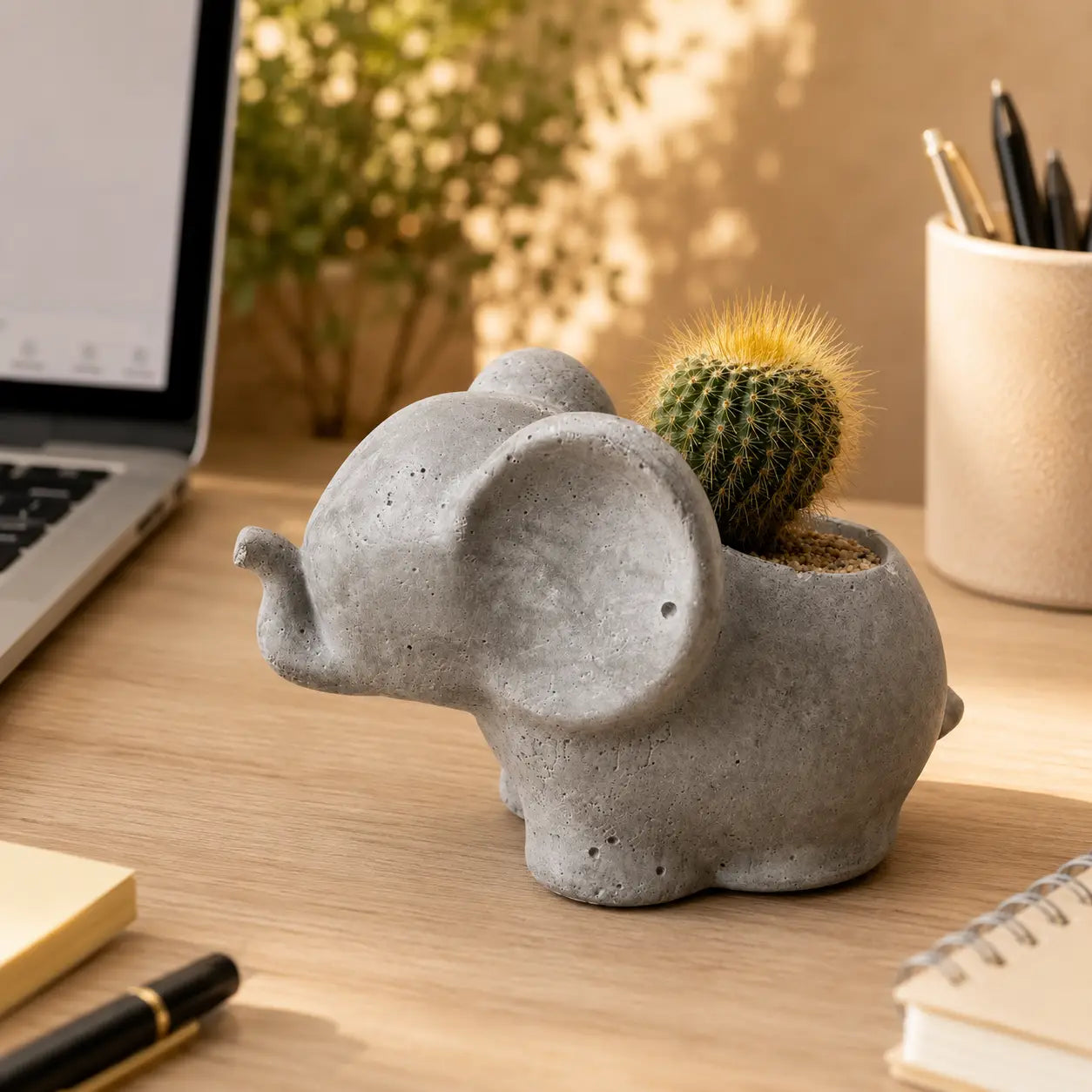 Macetero Elefantito con Cactus Dorado (Parodia leninghausii) | Planta Resistente + Maceta de Hormigón | Regalo Fácil Cuidado