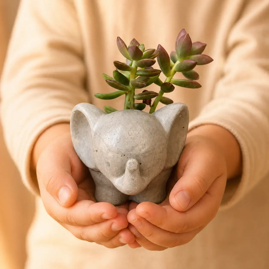 Macetero Elefantito de Hormigón con Suculenta Sedum Adolphii – Regalo Original y Decorativo