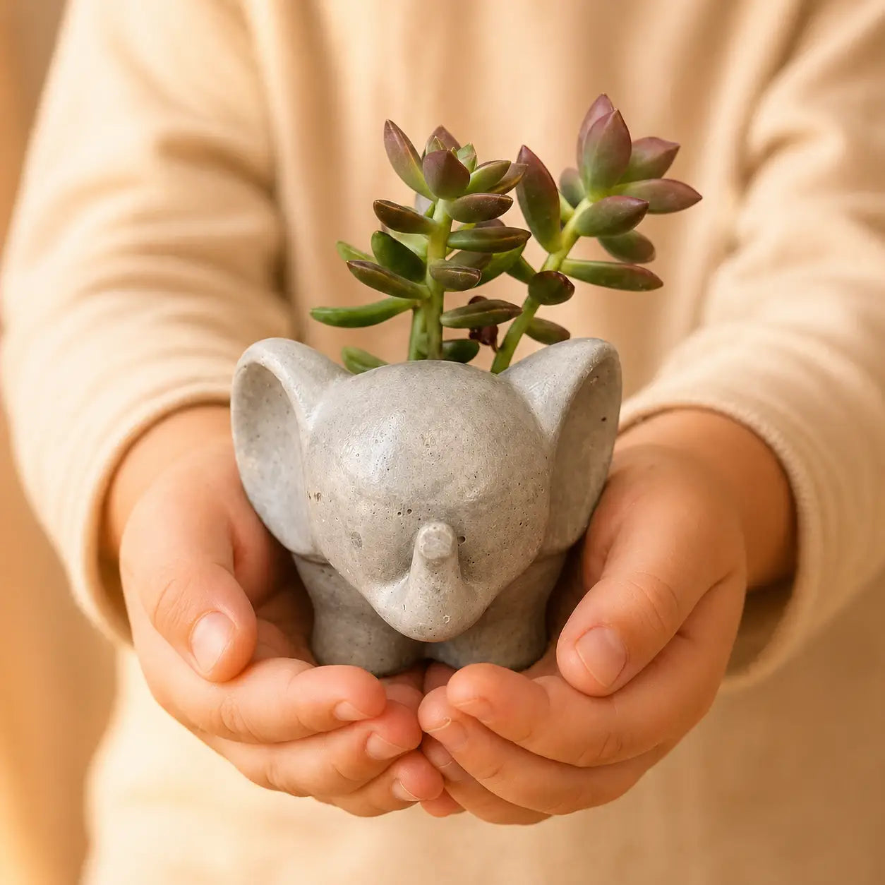 Macetero Elefantito de Hormigón con Suculenta Sedum Adolphii – Regalo Original y Decorativo