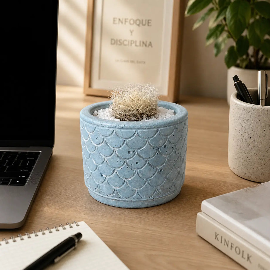 Pack Cactus Peludo en Macetero de Hormigón Celeste | Planta Decorativa de Bajo Riego para Interior