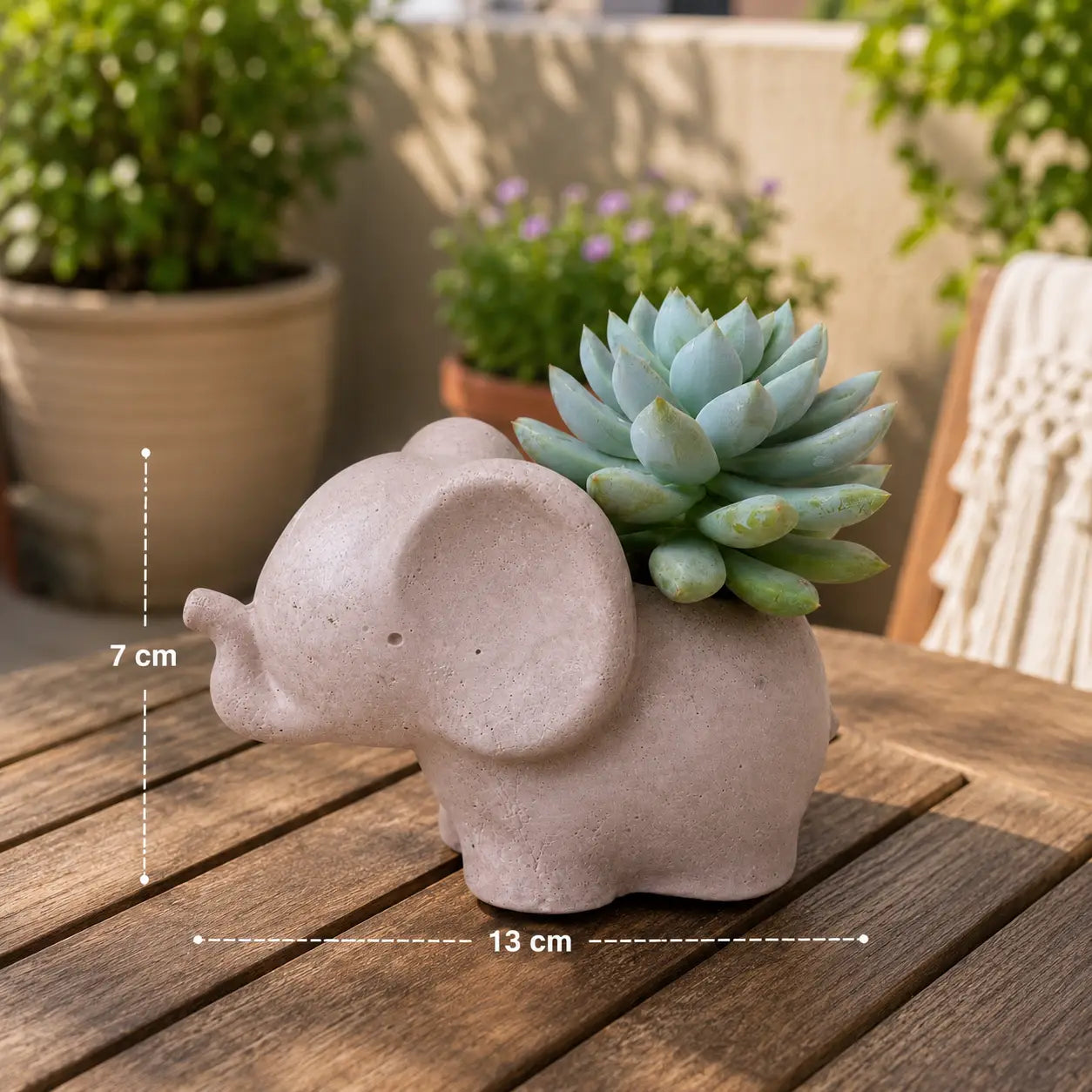 Macetero Elefantito con Suculenta Echeveria | Planta Natural + Maceta de Hormigón | Regalo Original y Decorativo