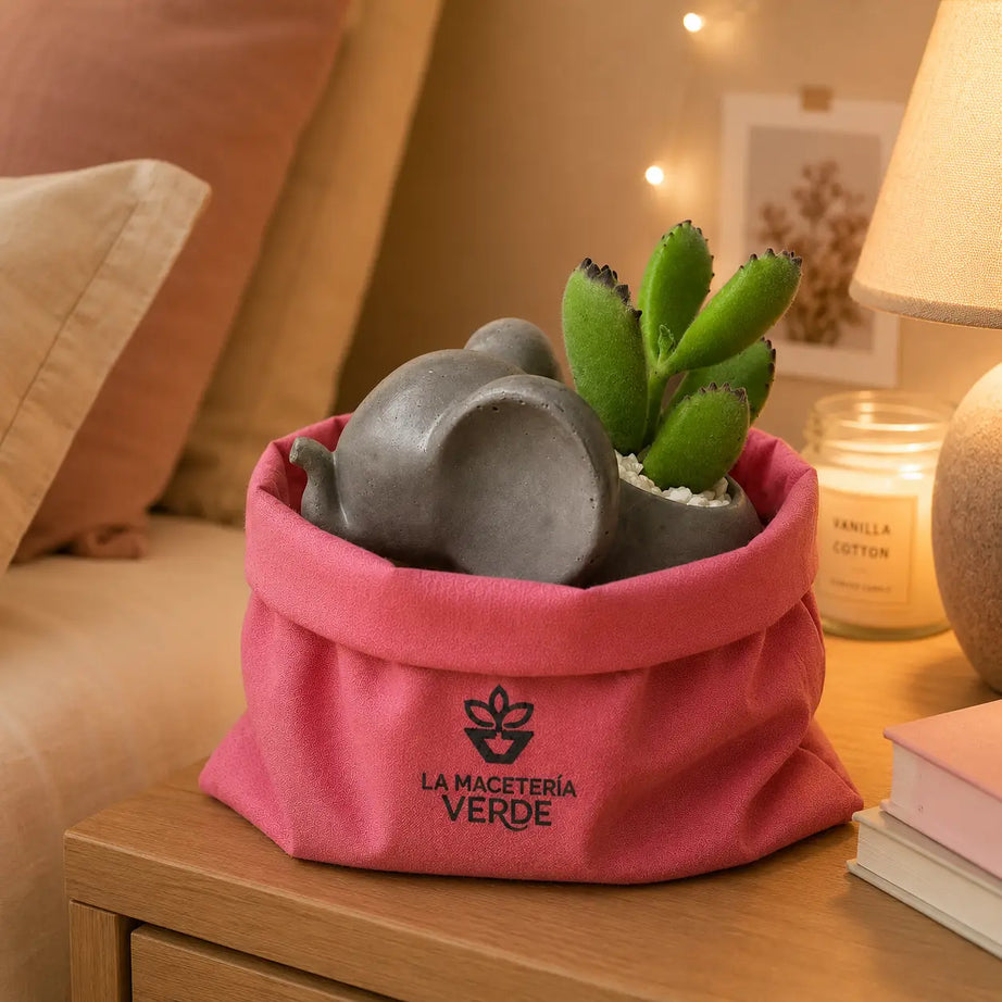 Macetero Elefantito con Suculenta Garra de Oso (Cotyledon tomentosa) | Planta Tierna + Maceta de Hormigón | Regalo Original