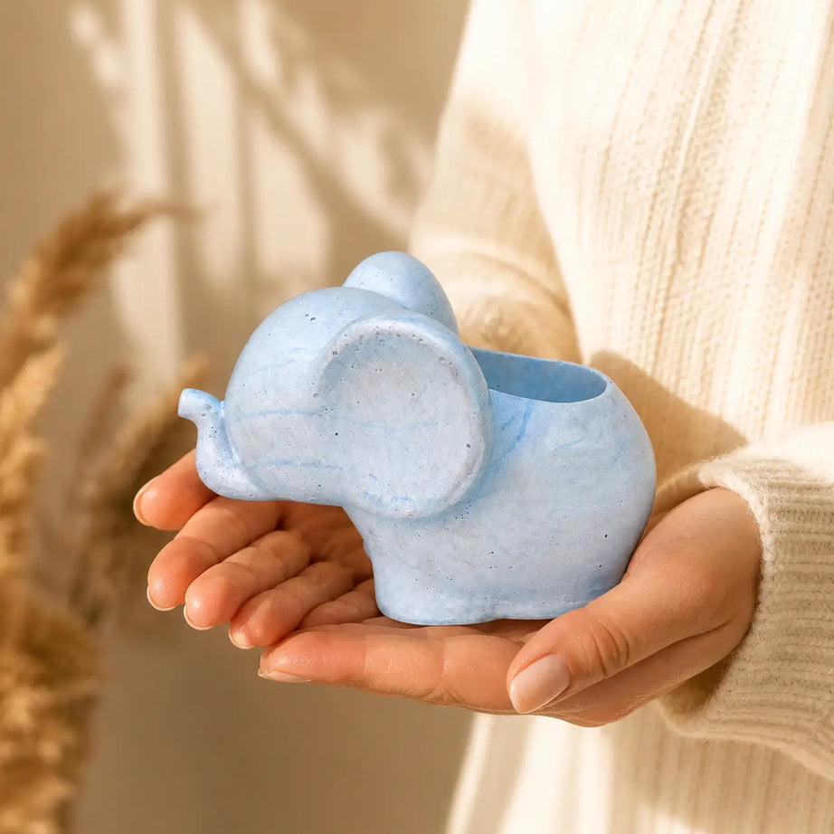 Macetero Elefante de Hormigón | Maceta para Suculentas y Regalo