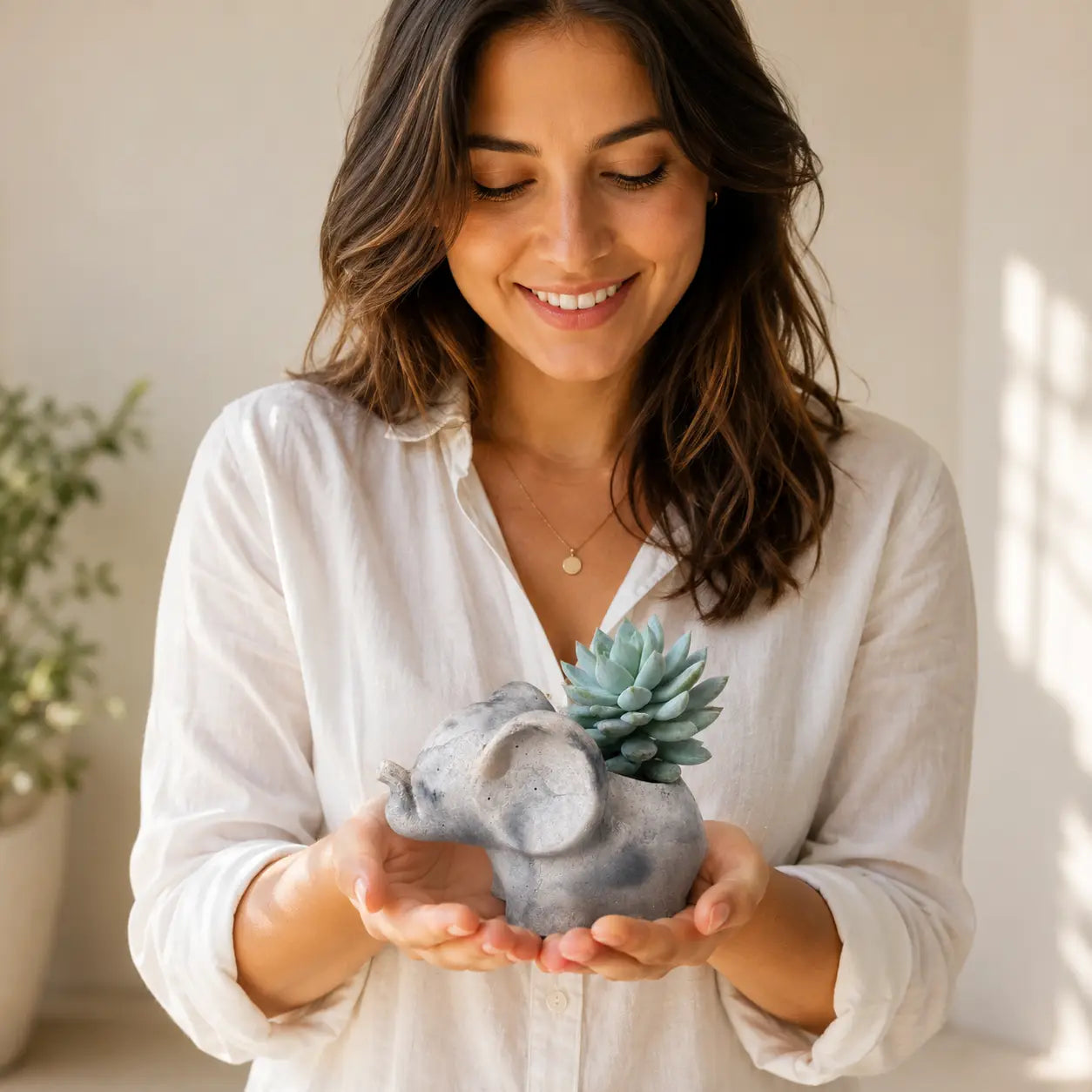 Macetero Elefantito con Pack Suculenta Echeveria Natural | Planta Viva + Maceta de Hormigón | Regalo Original Decorativo