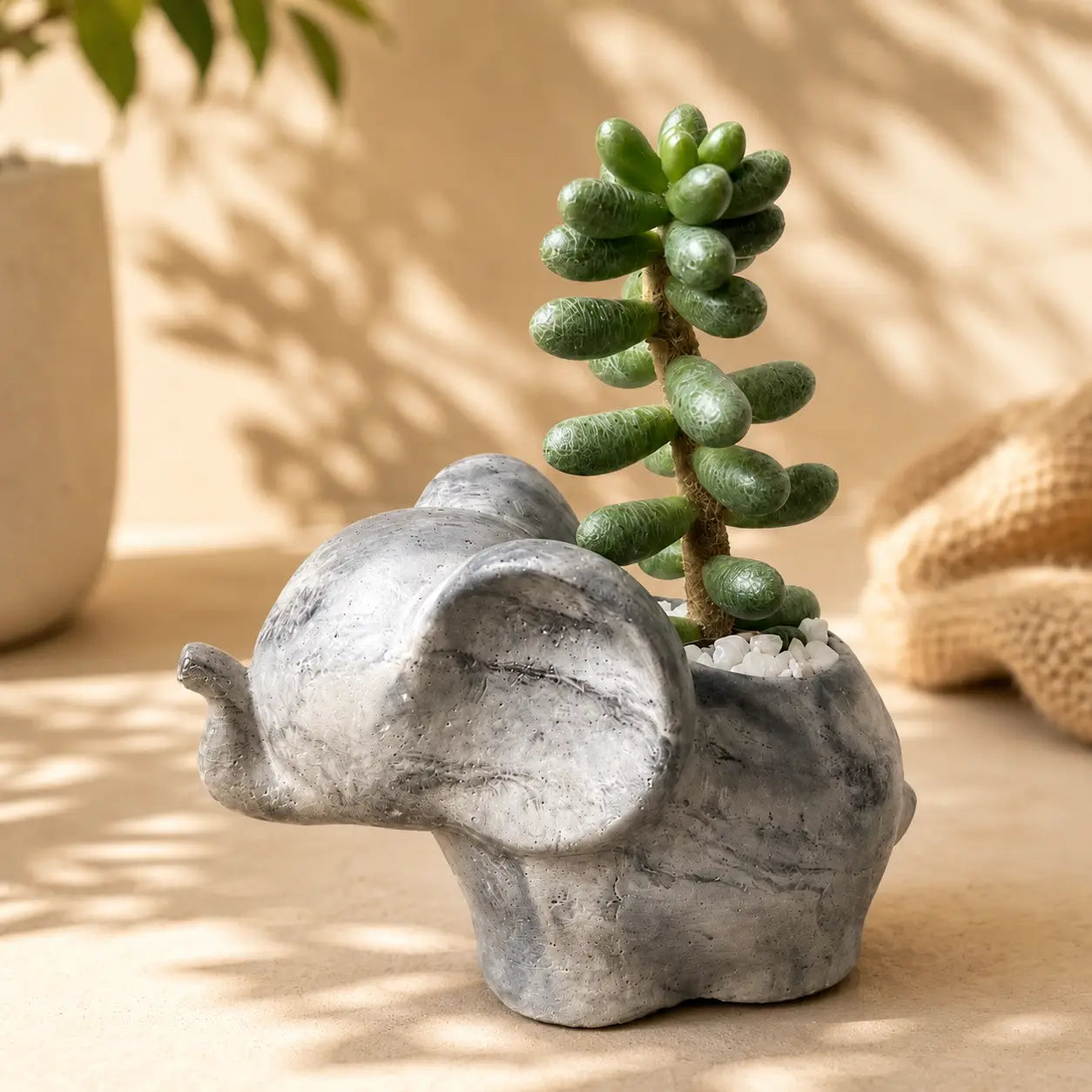 Macetero Elefantito con Suculenta Premium Tipo Crassula Columna | Planta de Colección + Maceta de Hormigón Decorativa