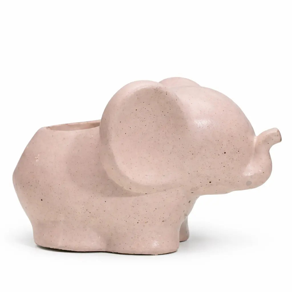 Macetero Elefante de Hormigón | Maceta para Suculentas y Regalo