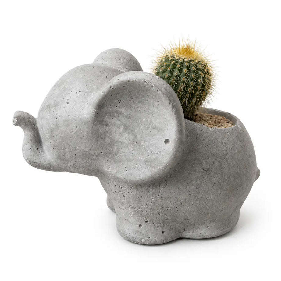 Macetero Elefantito con Cactus Dorado (Parodia leninghausii) | Planta Resistente + Maceta de Hormigón | Regalo Fácil Cuidado