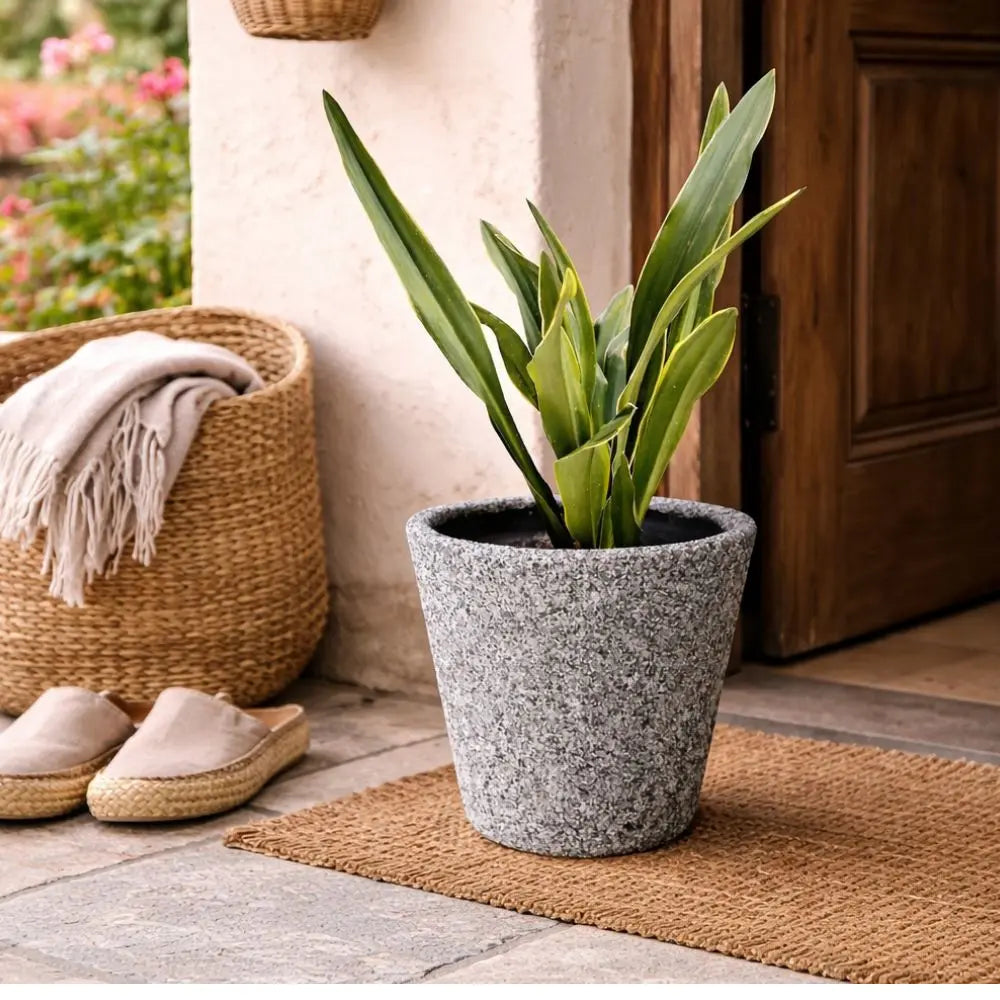 Pack Sansevieria Variegada L + Macetero de Arcilla 30x30 con Geranio de Cobre | Planta de Interior Premium y Decorativa