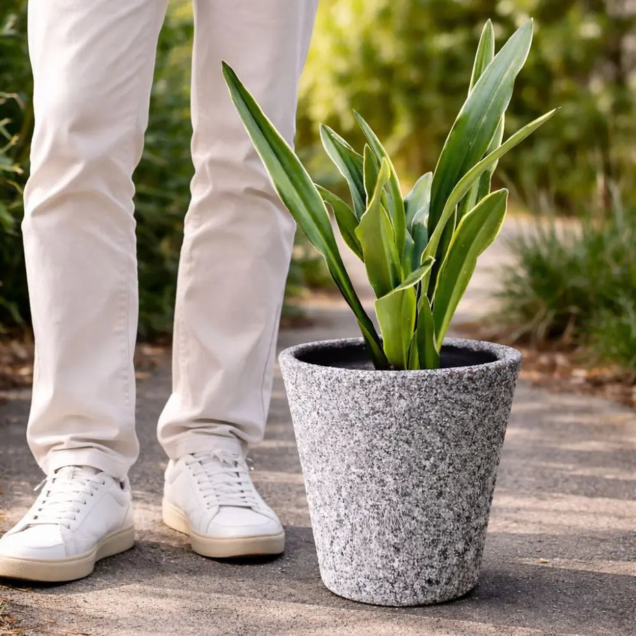 Pack Sansevieria Variegada L + Macetero de Arcilla 30x30 con Geranio de Cobre | Planta de Interior Premium y Decorativa