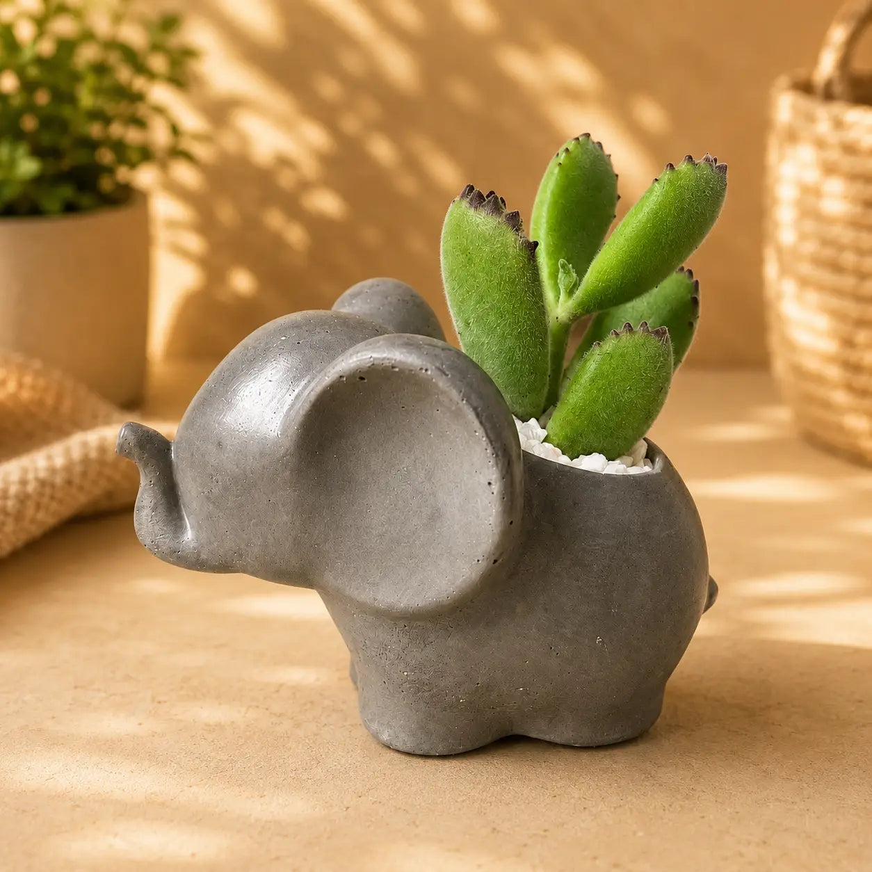 Macetero Elefantito con Suculenta Garra de Oso (Cotyledon tomentosa) | Planta Tierna + Maceta de Hormigón | Regalo Original