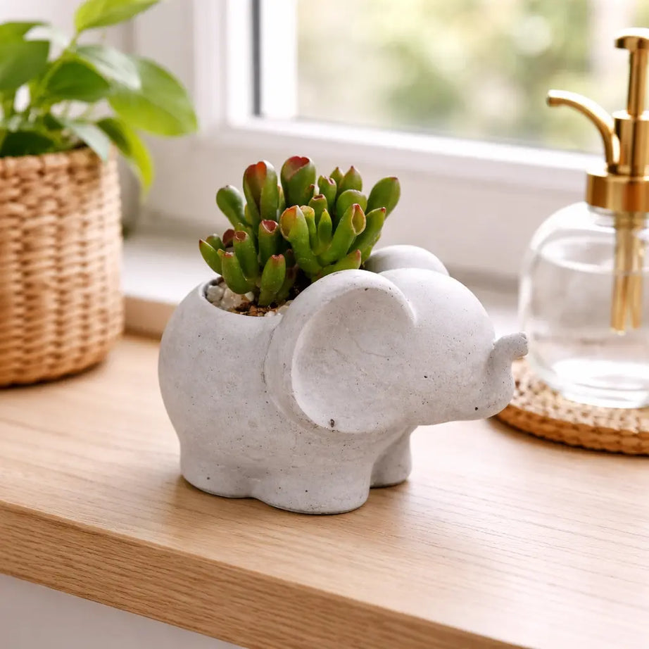 Elefantito de Hormigón con Crassula Ovata ‘Gollum’ – Suculenta Oreja de Shrek | Regalo Original y Decorativo