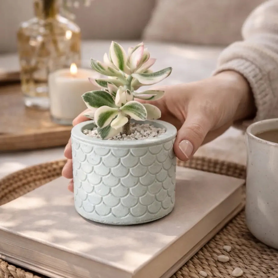 Macetero de Hormigón Sirena | Maceta Decorativa para Suculentas y Regalo