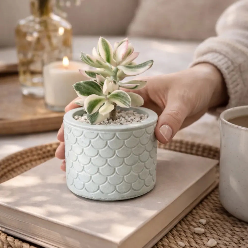 Macetero de Hormigón Sirena | Maceta Decorativa para Suculentas y Regalo